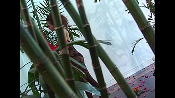 Filipina Fuckdolls Unleashed: A Savage Wildlife Encounter